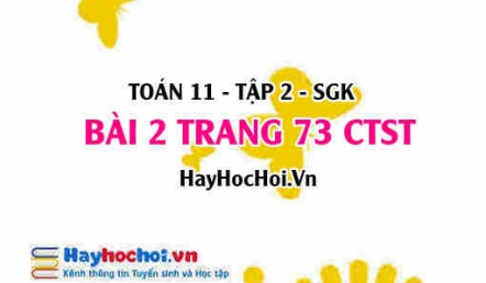 Bài 2 trang 73 Toán 11 tập 2 Chân trời sáng tạo